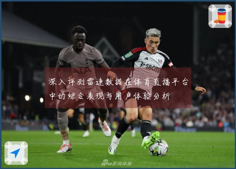 深入评测雷速数据在体育直播平台中的综合表现与用户体验分析