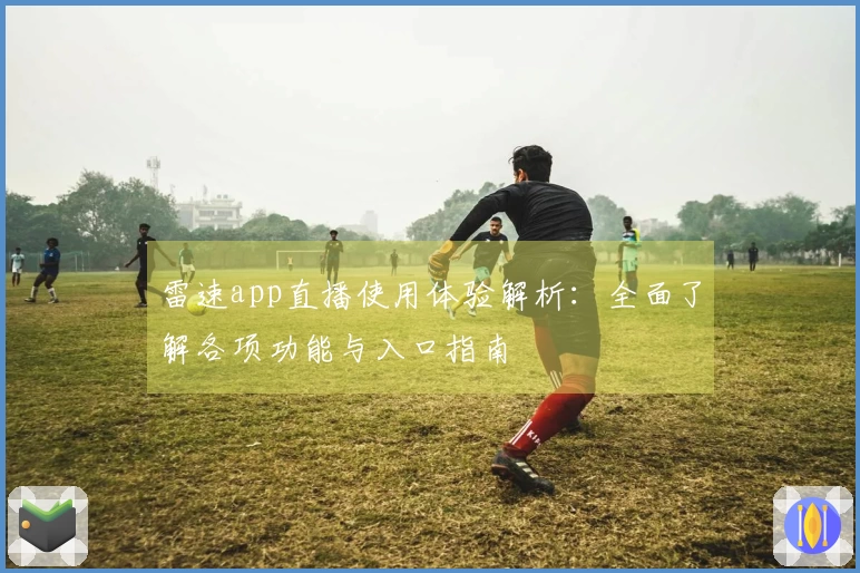 雷速app直播使用体验解析：全面了解各项功能与入口指南